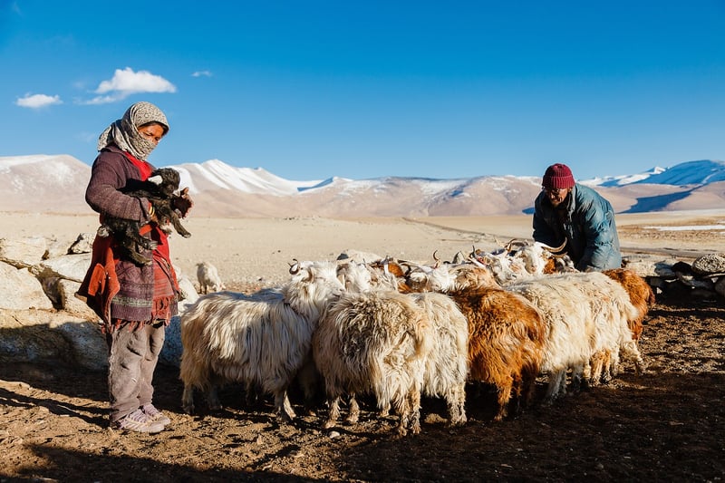 Nomadic Cultures