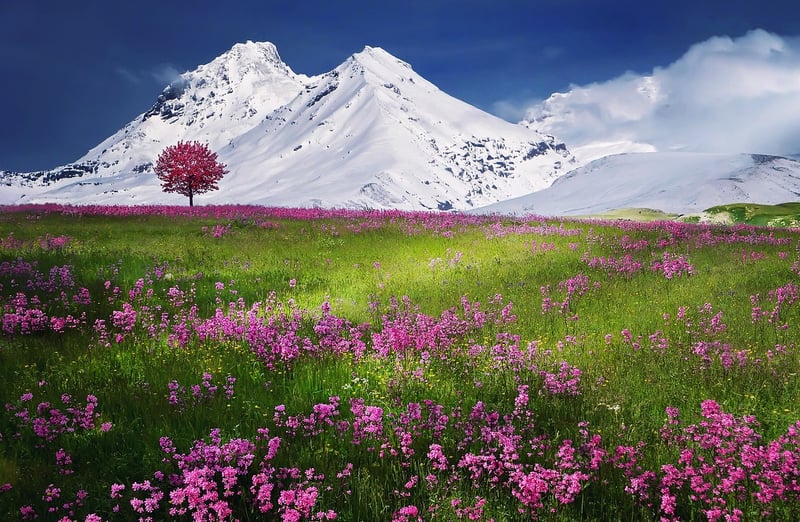Snowy Summits