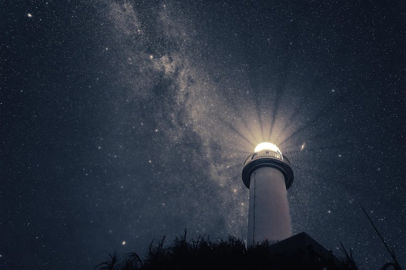 Night Sky in the Rainforest